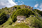 Monte Baldo (Trentino) - affioramenti di Ammonitico. 